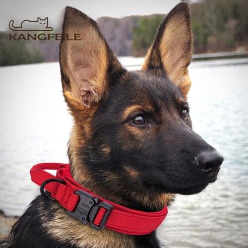 Kangfeile Collars, Harnesses And Leashes