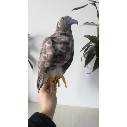 Real life eagle bird model foam&feather big eagle bird doll gift about 48cm xf2799