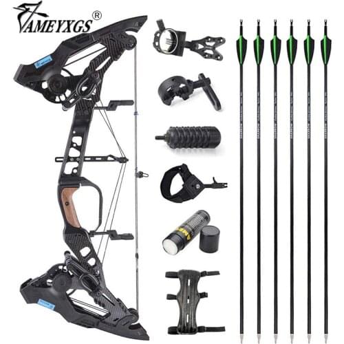 Adjustable 21.5-60lbs Archery Compound Bow Set Arrow/steel Ball Shooting CNC Aluminum Alloy Dual Purpose Bow for Hunting Sports