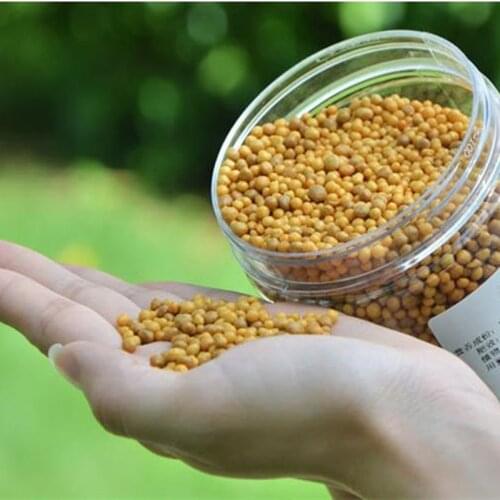 500g/pack Japanese Slow-release Orchid Granular NPK Fertilizer