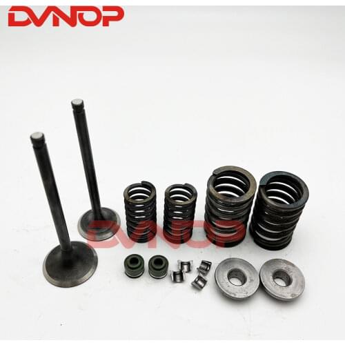 The motorcycle valve spring assembly for GS125 GN125 valve spring valve valve assembly