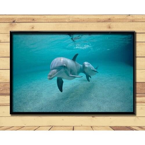 Dolphin Lovely Marine Animal (25) Wall Posters Prints Silk Art Painting For Home Wall Bedroom Decor