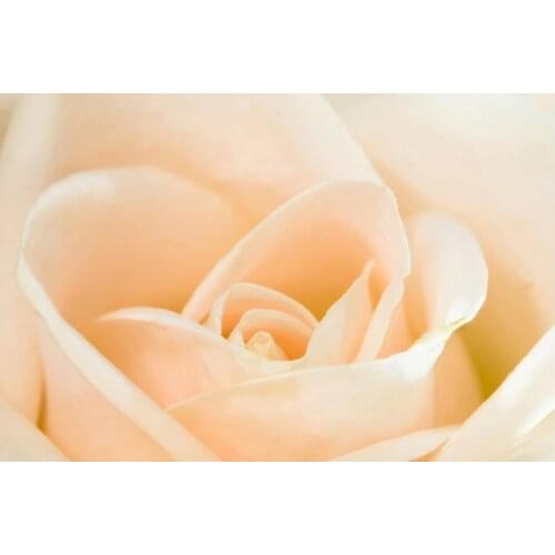 3D flower wallpaper rose stereoscopic 3d wallpaper tv backdrop mural wallpaper Home Decoration