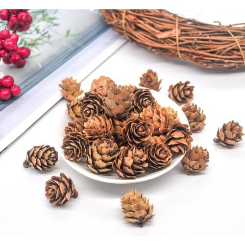24PCS Natural Dried Pinecones Christmas New Year Holiday Party Decoration Christmas Decoration Vase Filler Home Supplies