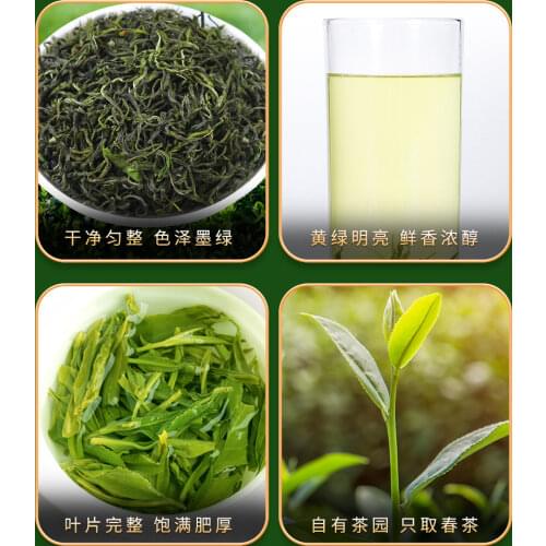 2021 New tea Xinyang Maojian tea Green tea Spring tea Maojian tea Bulk canned Healthy green tea