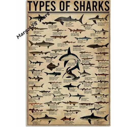 All Types of Shark Poster Notice for Diver for Decor Bathroom Gift for Diver Signs Vintage Road Signs High Way Metal Tin Sign