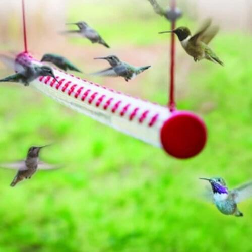 Bird Feeder with Hole Feeding Pipes Hanging Bird Feeder Easy To Use Bird Feeder Best Gardening Tools