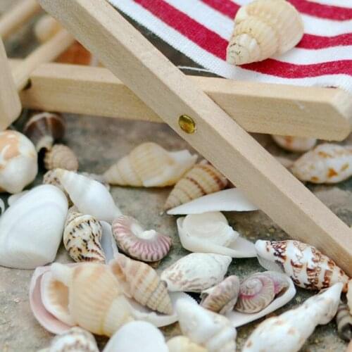 1 Bag Pop Ocean Mixed Sea Shells Beach Decor Nautical Craft Tropics 0.3cm ~1.6cm