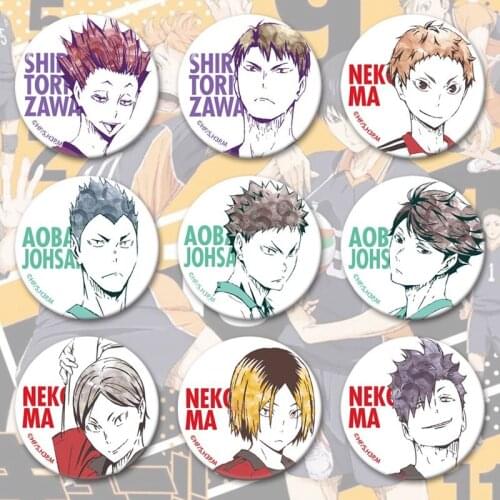 Japan Anime Haikyuu Cosplay Badge Cartoon Collection Bags Badges for Backpacks Button Clothes Brooch Pins Gifts