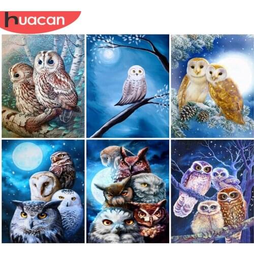 HUACAN DIY Frame Oil Painting By Numbers Owl Animal Acrylic On Canvas Wall Art Picture By Numbers Tree For Living Room