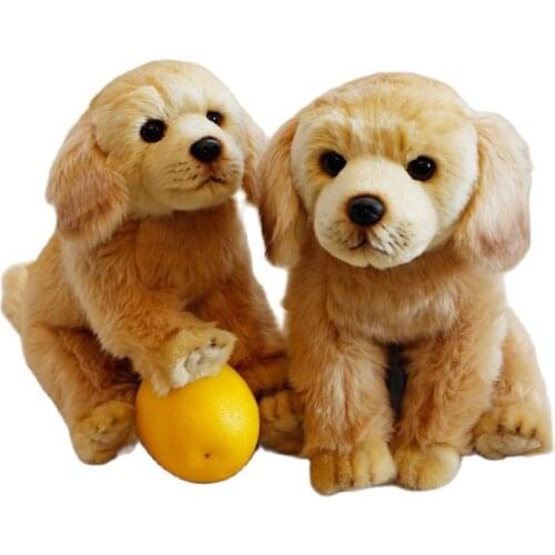 Korean Simulation Labrador Golden Retriever Doll Pet Dog Simulation Plush toy Decoration Home Accessories birthday gift for kids