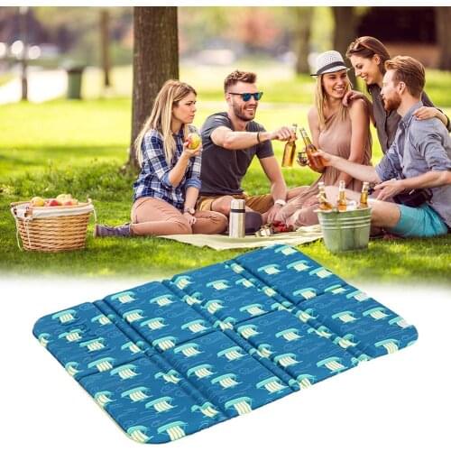 Portable Picnic Mats For Camping In Mountaineering Parks Moisture-proof And Cool Park Fart Mats Folding Cushions