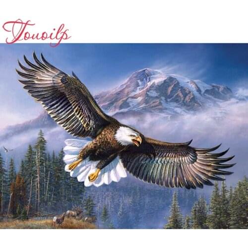 Full square&Round 5D diamond painting DIY diamond embroidery Flying the eagle Cross Stitch Rhinestone mosaic home decoration
