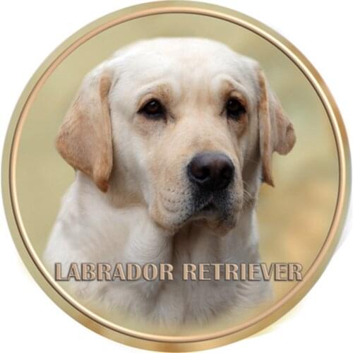 S40394# Various Sizes PVC Decal Labrador Retriever V2 Pet Animal Car Sticker For Bumper Rear Window Laptop Refrigerator Toilet