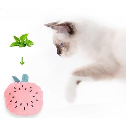 Soft Fruit Puppy Training Toy Plush Squeaky Dog Toy Bite-Resistant Clean Dog Pet Supplies Puppy Dog Chew Toys #7