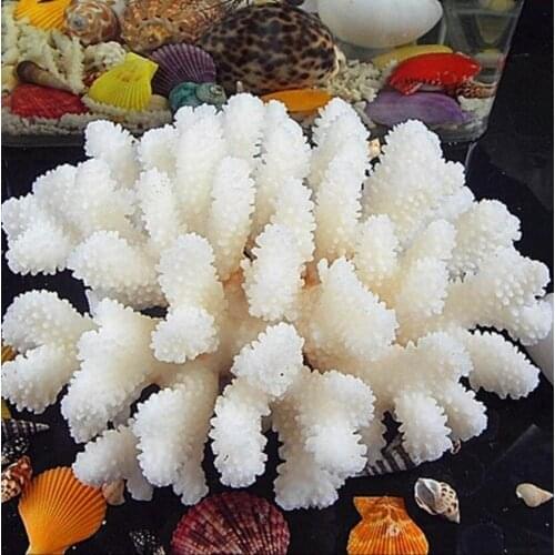 Offer natural conch shells fine white coral ornaments aquarium aquarium design Home Furnishing Zhaocai coral treeroom Art
