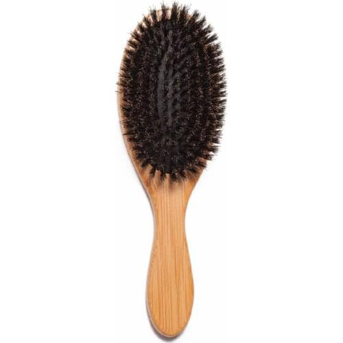 Pro Salon Hair Care Styling Tool Anti-static Bristles Hair Brush Daily Resistant Moisture Salon Massage Comb