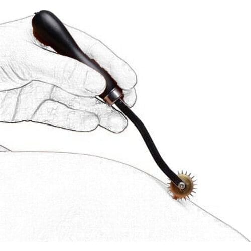 Adult Games Roller Wartenberg wheel Pin Wheel Body Nipple Stimulator Sex Toy for Couples pinpricks Gear Breast Penis Tongue