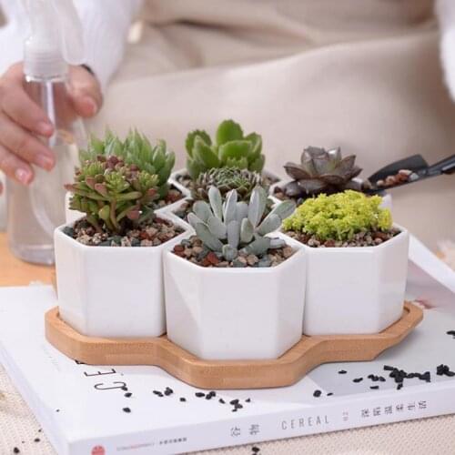 Set of 7 Hexagon Flowerpots White Ceramic Succulent Plant Pot with Bamboo Stand Home Decor Bonsai Planters