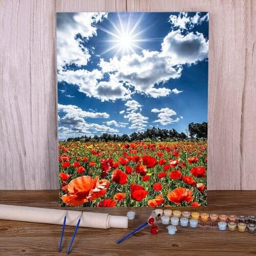 Flower DIY Paint By Numbers Kit Oil Paints 40*50 Painting On Canvas Home Decoration For Children Handiwork For Wholesale