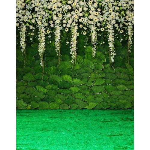 Life Magic Box background for a photo shoot green estudio fotografico photography backdrops for photo studio S-2025