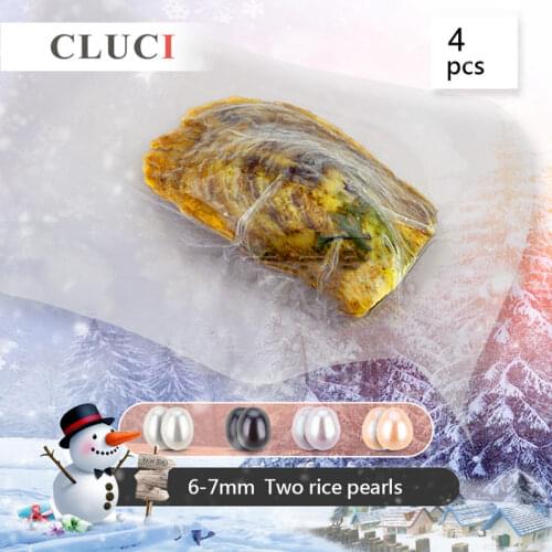 CLUCI 4pcs 6-7mm Oval Freshwater Oyster With Twins Pearl Bead for Women Jewelry Making Real Cultured Pearl Oysters WP044SB