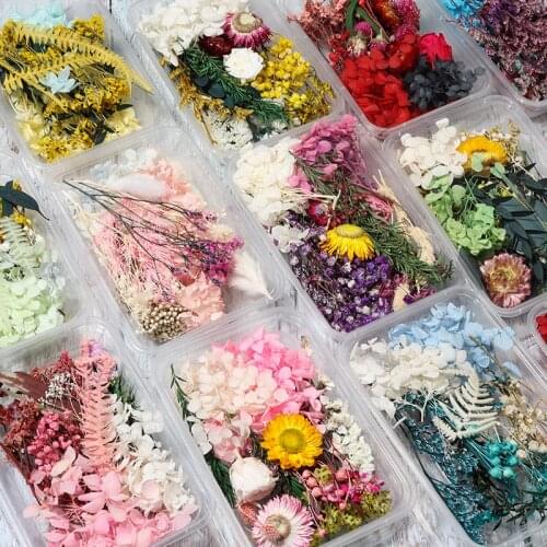 1 Box DIY Real Dried Flower For Resin Mold Making Epoxy Resin Pendant Necklace Jewelry Making Craft DIY Accessories Wholesale
