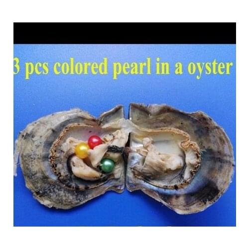 6-7MM Random Mixed Pearls Oyster Triplets Colored Pearls in Oyster Saltwater Akoya Oysters 3 Vibrant Color Round Pearls ABH808