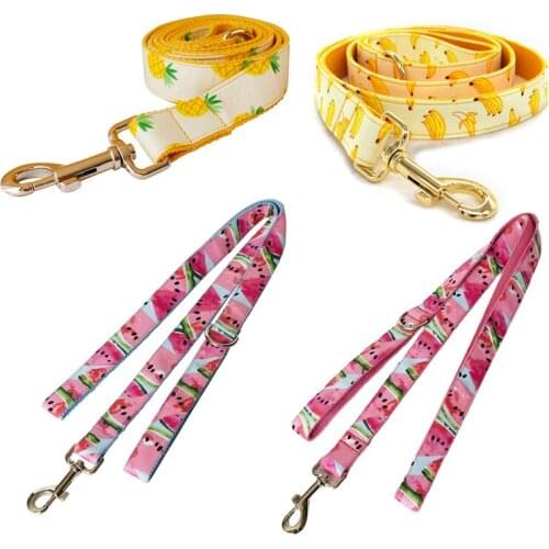 Fruit Dog Leash Personalized Harness Engraved Pet Name Retailing Pet Supplies Dog Accessories Dog Rope Leash