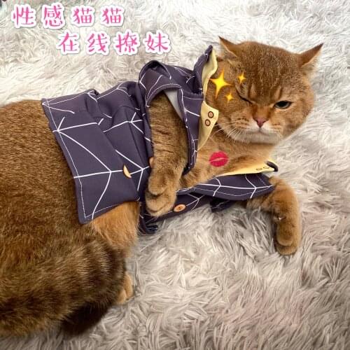 Jojos Bizzare Adventure Prosciutto Pet clothes for cats and dogs Plush cloak cosplay pet costume cute fashion cos gift C