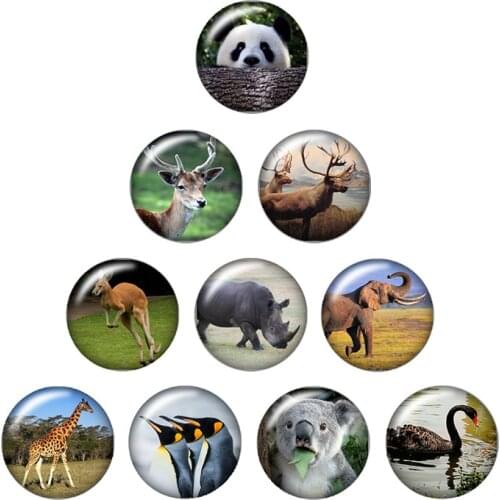 Lovely panda giraffe rabbit 10pcs mixed 12mm/16mm/18mm/25mm Round photo glass cabochon demo flat back Making findings