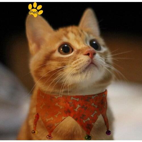 Одежда для кошек Boratat China At AliExpress