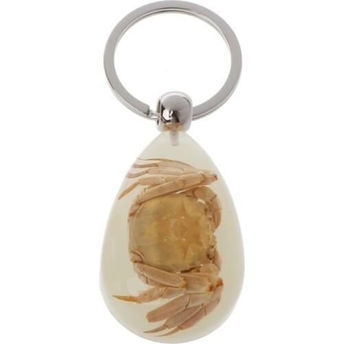 R2LE Natural Glow-in-the-Dark Real Insect Keychain Beetle Animal Specimens Collecting