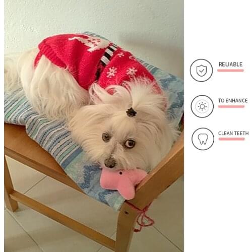 New Fashion Dog Chew Toy Stuff Bite Resistant Plush Toys for Puppy Small Large Dog Clean Teeth Training Pet Accessories Supplies