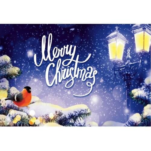 Merry Christmas Backdrop Winter Pine Branch Street Light Bird Photography Background Family Xmas Party Decor Photo Booth Prop