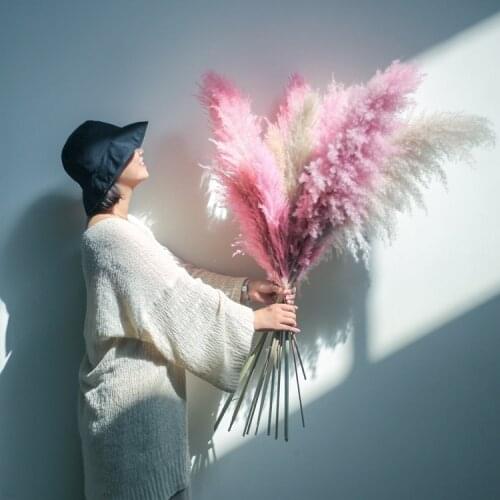 2pcs Wild Pink Pampas Dried Home Decor Ried Reed Dried Flowers Huge Pampas Grass Real Pampas Grass