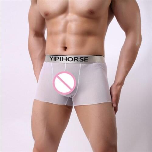 Hot Factory Wholesale Sexy Men Boxer silk Breathable Underwear Male Comfortable Solid Panties Underpants Cueca Boxershorts Homme