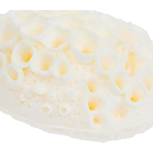 Natural Sea Wool Sponge Dead Skin Remover Exfoliating Massager Shower Pouf Cleaning Shower Brush Foam Body Facial Washing Sponge