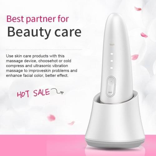 Facial Mesotherapy Electroporation RF&EMS Radio Frequency Face Lifting Tighten Wrinkle Removal Skin Care Tools