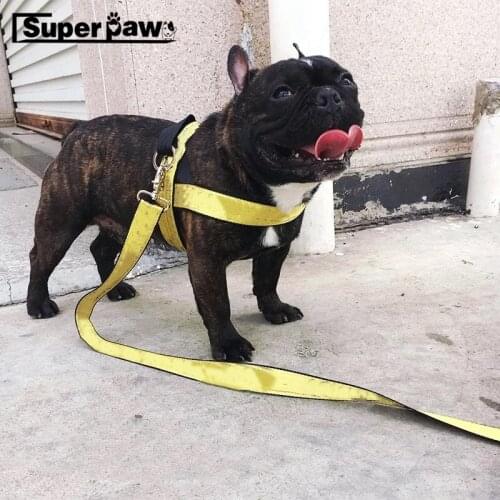Fashion Collar Leash Harness Safety Belt for Dogs Pets Dog Puppy for Small Medium Large Dogs Puppies Leading Accessories AQL03