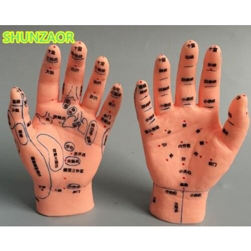 HAND ACUPUNCTURE MODEL 15 CM with right and left hand