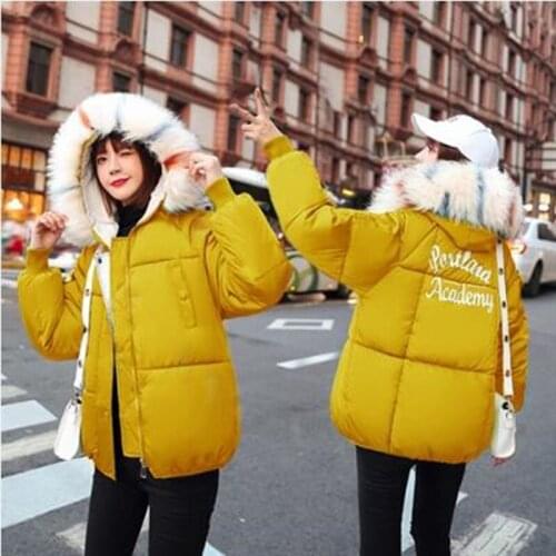 Winter jacket women 2019 fashion warm women down coat female fur collar hooded zipper outwear short winter down jacket women