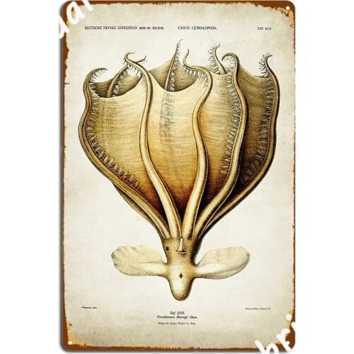Vintage Octopus Octopus Illustration Metal Sign Wall Pub Home Painting Décor Custom Tin Sign Poster