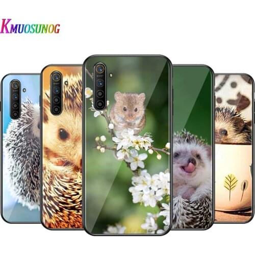 For OPPO A5 A9 2020 F7 Phone Cover Shell Cute Hedgehog for OPPO Reno 2 Z 2Z 2F 3 4 Pro 5G Bright Black Phone Case