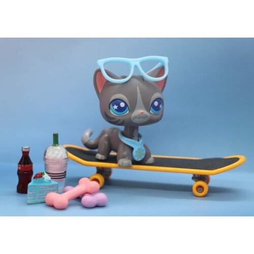 Pet Shop Stripe Shorthair Cat, Custom OOAK Gray and Stripe Cats with Blue Blind Star Eyes with Accessories