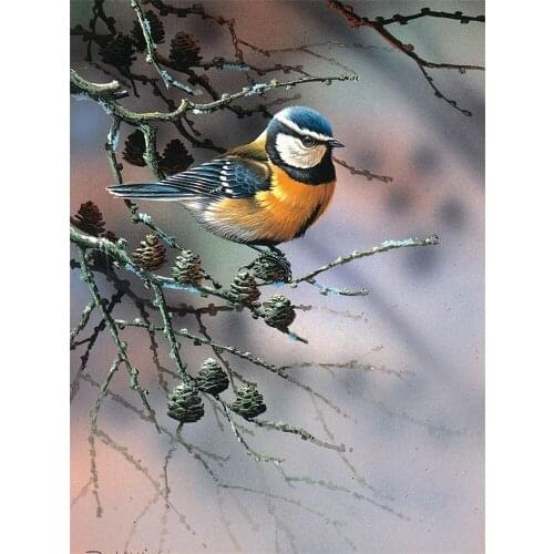 Bird Animal Printed Canvas 11CT Cross-Stitch Embroidery Complete Kit DMC Threads Hobby Handicraft work Craft For Adults Magic