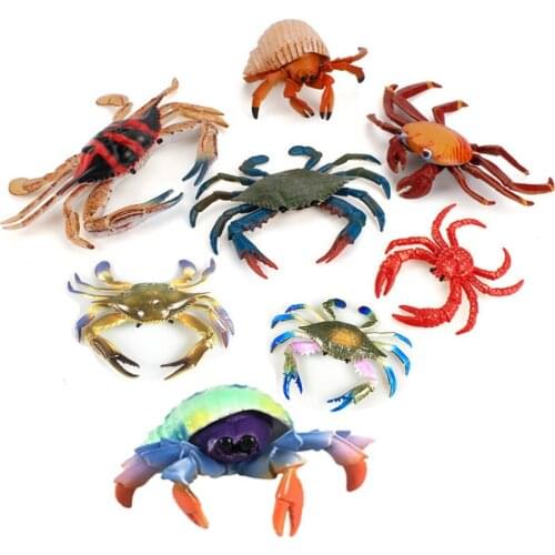 Simulation Marine Animal Crab Hermit Crab Model Toy King Crab Swimming Crab Decoration Childrens Science and Education Model