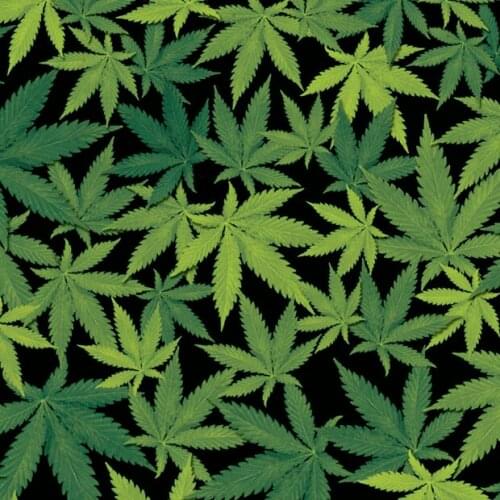 TSAUTOP Size 0.5m x 20m liquid image wholesale hydrographic film WDF380