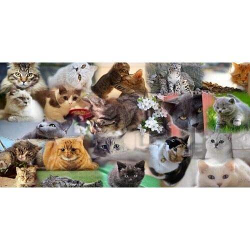 Towels Custom 70x140cm Cute Cat Printed Microfiber Bath Towels serviette de plage toalha Gym Sport Travel Shower Beach Towels