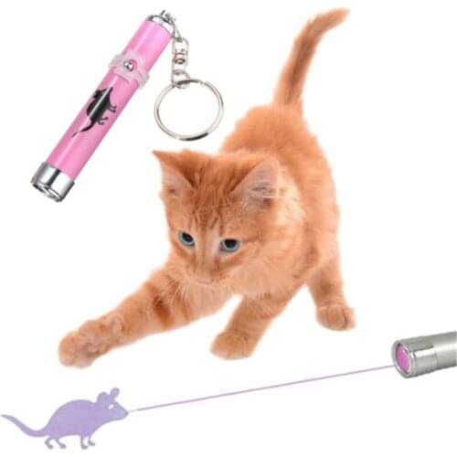 Amazingly Cat Toy Creative and Funny Pet Cat Toys LED Pointer light Pen With Bright Animation Mouse Paw print fish